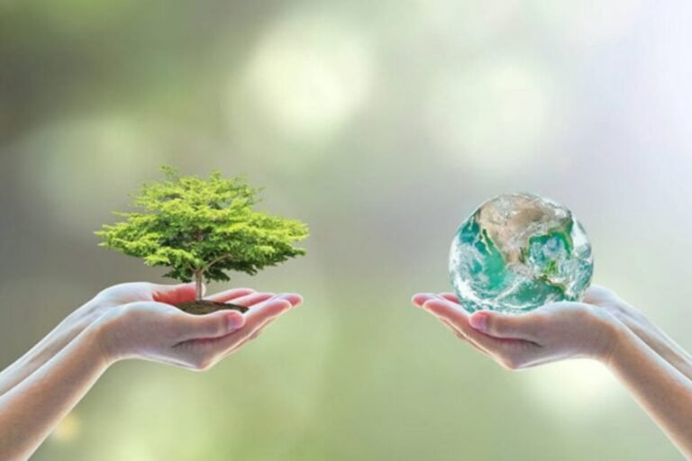 Web3 ESG 应用案例