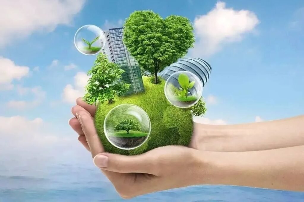 carbon credit 价格